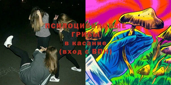 меф Каменск-Шахтинский