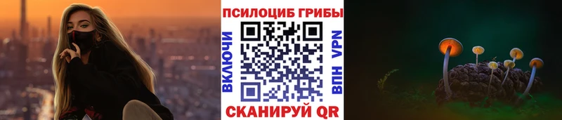 хочу   Клинцы  omg сайт  Галлюциногенные грибы GOLDEN TEACHER 